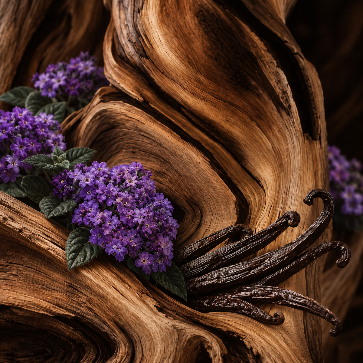 Mosc, Lemn de santal, Vanilie, Patchouli, Heliotrop